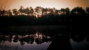 12734091_10153910996389929_6987187598903349978_n (1)