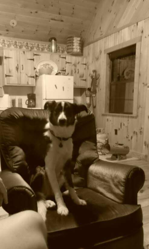 14055064_10154401082354929_3882747924164185316_n