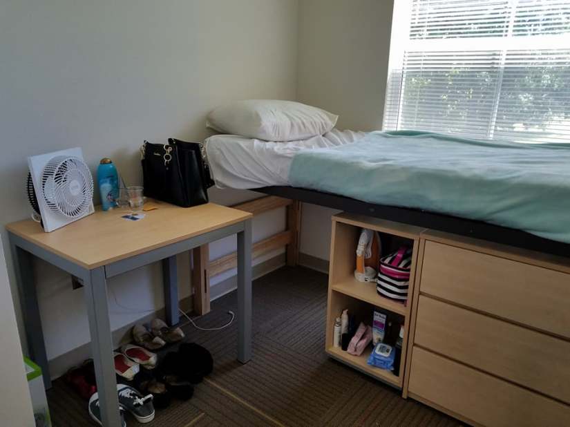 18446757_10155271778474929_6481495742187388204_n