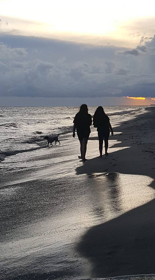 40583785_10156579156904929_5523461314275442688_n